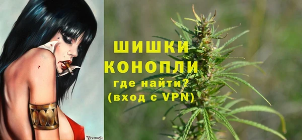 ПСИЛОЦИБИНОВЫЕ ГРИБЫ Аркадак