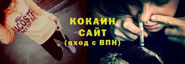 ПСИЛОЦИБИНОВЫЕ ГРИБЫ Аркадак