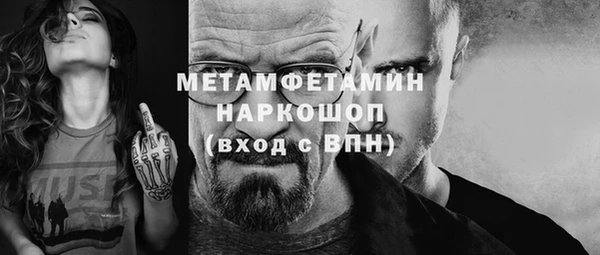 прущие грибы Армянск