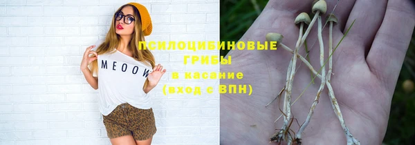mdpv Алексин