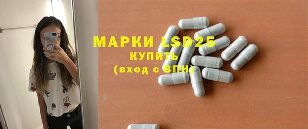 прущие грибы Армянск