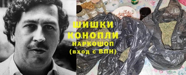 прущие грибы Армянск