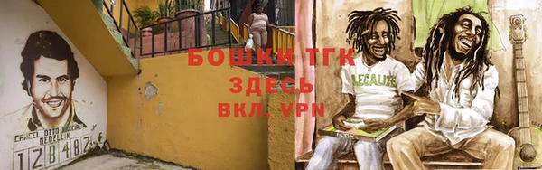 ПСИЛОЦИБИНОВЫЕ ГРИБЫ Аркадак