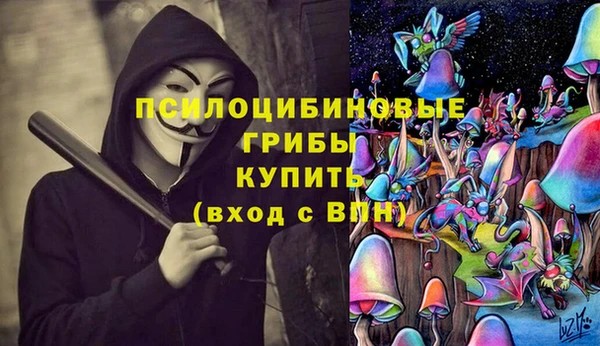 первитин Балахна